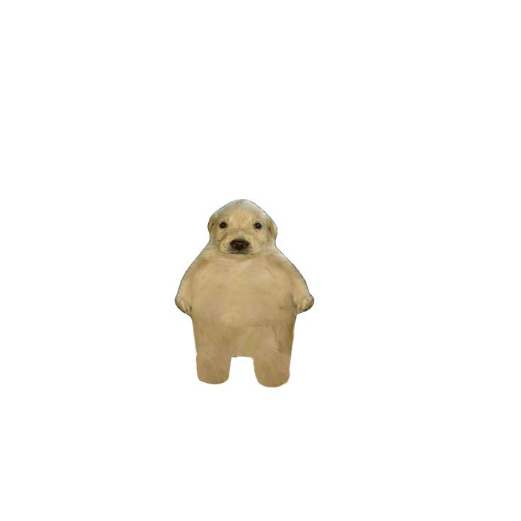 DOG BOBINO
