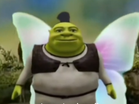 fairy shreck
